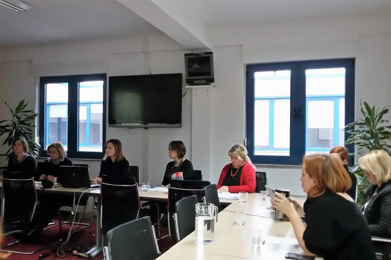 mamforce strateška radionica6