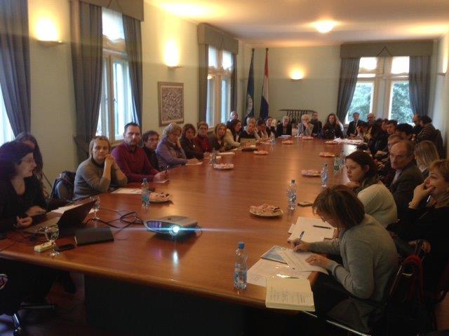 MOZVAG konzultacije SURI 291116 3